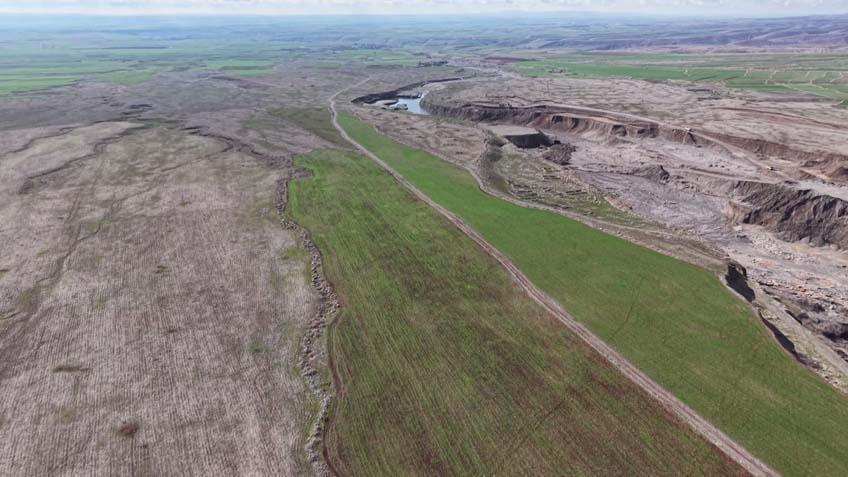 Cudi Dağında büyük şölen: 165’i sürü halinde dolaşırken görüntülendi