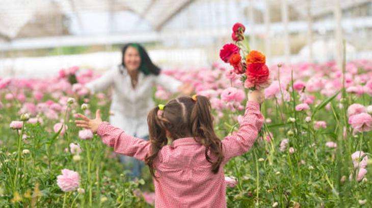 Bu yıl Anneler Günü ne zaman, hangi gün Anneler Günü 2026 kaç gün kaldı
