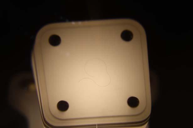 Sabahtan yatsı namazına kadar görülebiliyor: Allahın bir hediyesidir