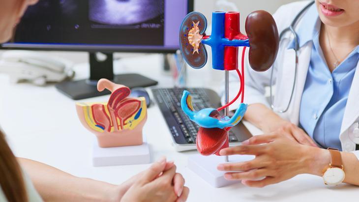 İdrar rengi önemli bir gösterge