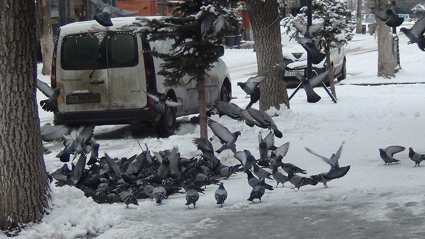 Mart ortasında kar sürprizi Kar kalınlığı yarım metreyi geçti, birçok kent için yeniden alarm verildi Mart ortasında kar sürprizi Kar kalınlığı yarım metreyi geçti, birçok kent için yeniden alarm verildi