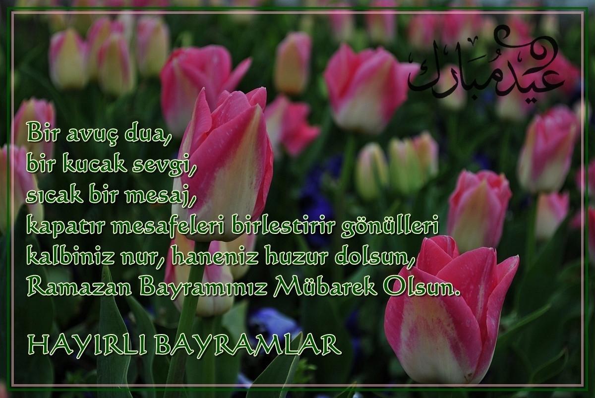HAYIRLI BAYRAMLAR MESAJLARI 2026 🍬 Resimli, farklı, değişik, kısa-uzun, yeni, sade, anlamlı, Ramazan Bayramı mesajları: İYİ BAYRAMLAR VE BAYRAMINIZ MÜBAREK OLSUN mesaj seçenekleri