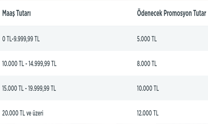 Promosyon başvurularınızı nasıl yapabilirsiniz