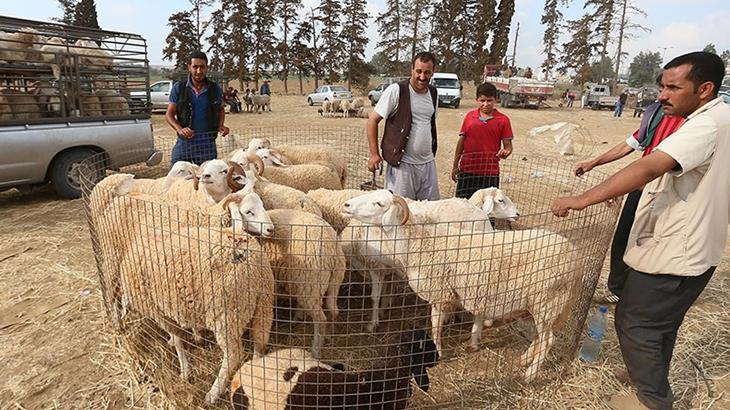 KURBAN BAYRAMI NE ZAMAN KURBAN BAYRAMI NE ZAMAN