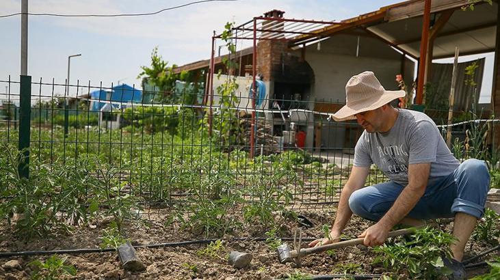 Hobi bahçelerine ceza yağdı!