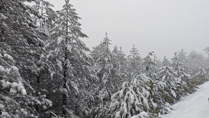 Bahar beklerken kar sürprizi Meteorolojiden birçok ile uyarı: Kar, çığ, sağanak, sel, heyelan, yıldırım...