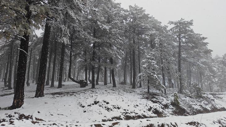 Bahar beklerken kar sürprizi Meteorolojiden birçok ile uyarı: Kar, çığ, sağanak, sel, heyelan, yıldırım...