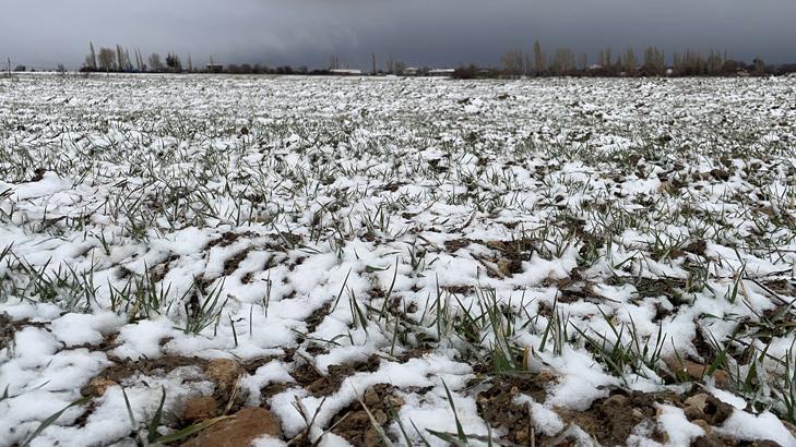 Bahar beklerken kar sürprizi Meteorolojiden birçok ile uyarı: Kar, çığ, sağanak, sel, heyelan, yıldırım...