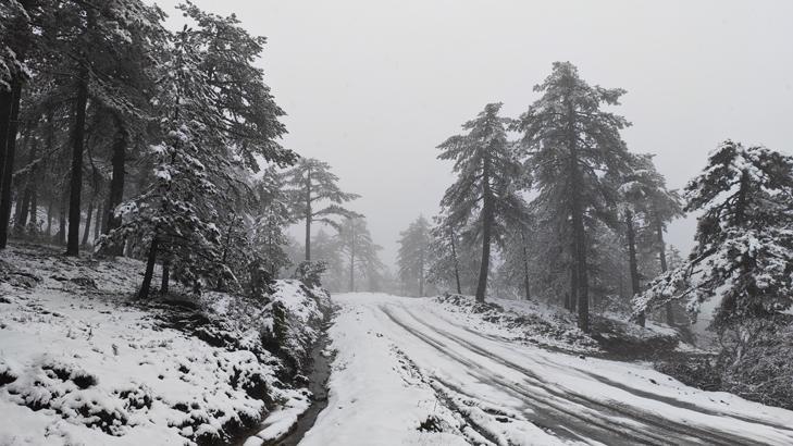 Bahar beklerken kar sürprizi Meteorolojiden birçok ile uyarı: Kar, çığ, sağanak, sel, heyelan, yıldırım...