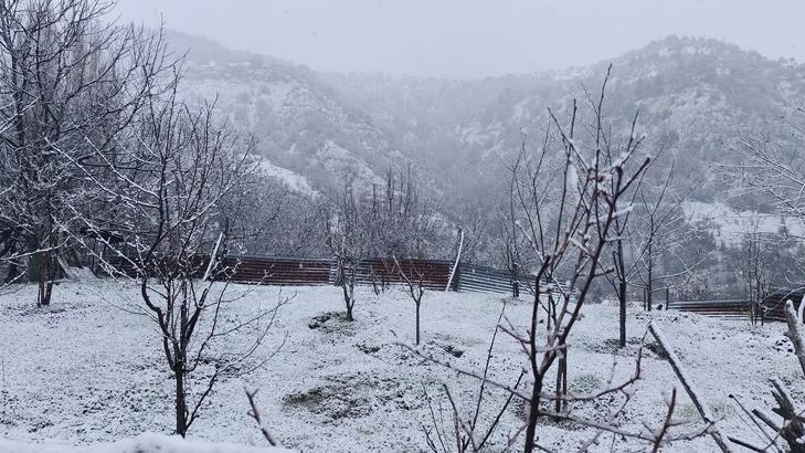 Bahar beklerken kar sürprizi Meteorolojiden birçok ile uyarı: Kar, çığ, sağanak, sel, heyelan, yıldırım...