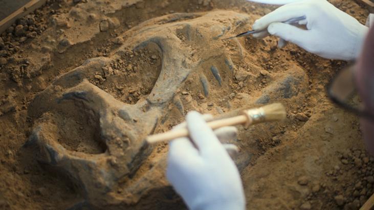 4- Dinozorları yeniden hayata döndürebilir miyiz