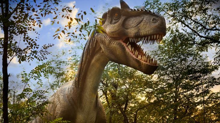 6- Dinozorlar kötü ebeveyn miydi