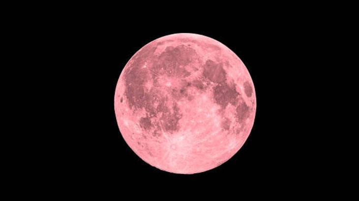 PEMBE DOLUNAY BURÇLARA ETKİSİ