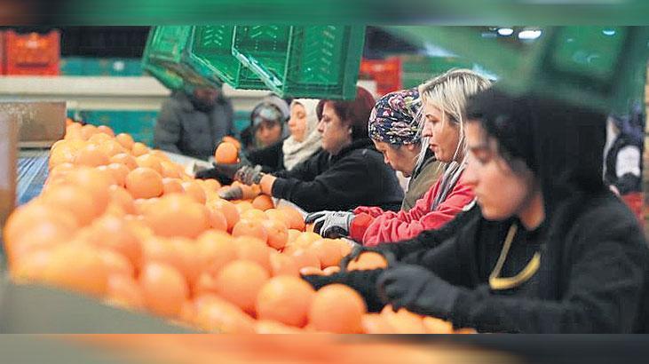 İhracatta kadınlar yüzde 23.5 pay aldı