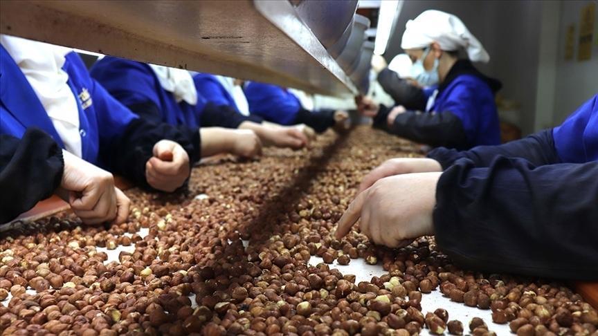 Kadın çalışanlar ihracata en fazla katkıyı Giresun'dan sağladı