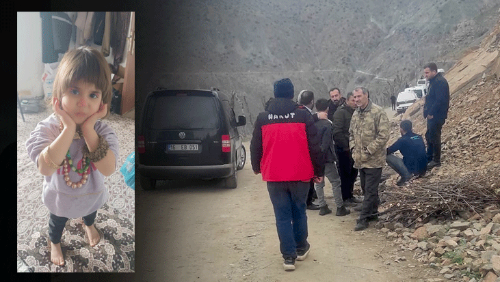 Bitlis'te seferberlik! 5 yaşındaki Rabia her yerde aranıyor