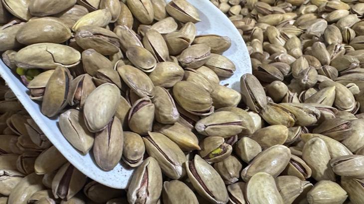 Yılın ilk çeyreğinde 32,8 milyon dolarlık fıstık ihracatı gerçekleşti
