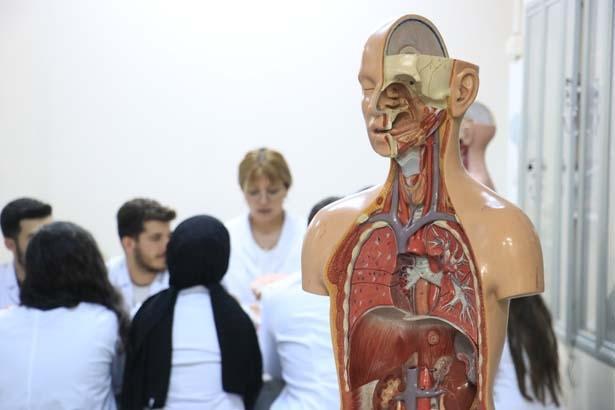 Dicle Üniversitesi’nde bir ilk: ‘Ölüler dirileri eğitir’ diyen akademisyenden görülmemiş bağış Dicle Üniversitesi’nde bir ilk: ‘Ölüler dirileri eğitir’ diyen akademisyenden görülmemiş bağış