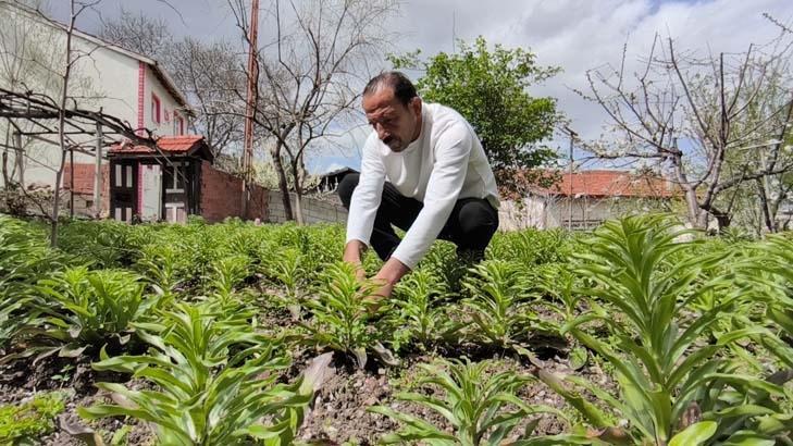 ONUN BIRAKTIĞI MİRASA ÇOCUK GİBİ BAKIYORUZ