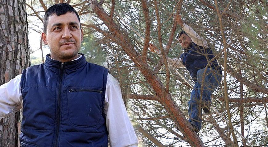 Kilosu 3 bin TL, işçi yevmiyesi 3 bin 500 TL! 'Kazanç iyi ama işçi bulamıyoruz'