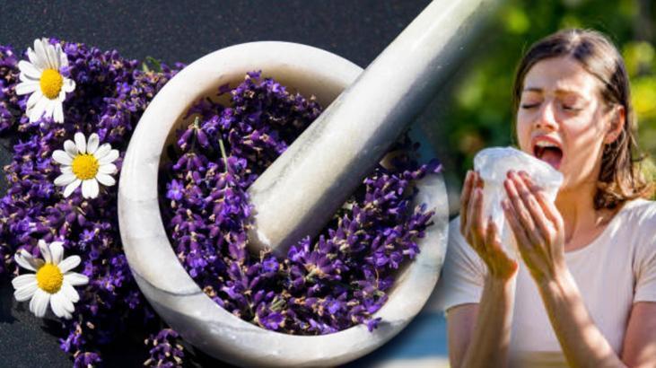 Bahar alerjisinden kurtaran doğal yöntemler! Burnu rahatlatıyor: Günde 2 kez için