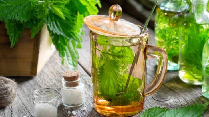 Bahar alerjisinden kurtaran doğal yöntemler Burnu rahatlatıyor: Günde 2 kez için