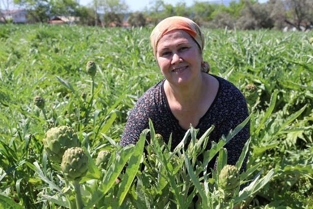 Babasının 5 dönümünde büyüyen servet Kazancı çok yüksek bir ürün