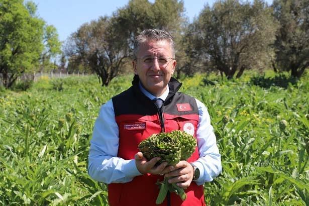 Babasının 5 dönümünde büyüyen servet Kazancı çok yüksek bir ürün