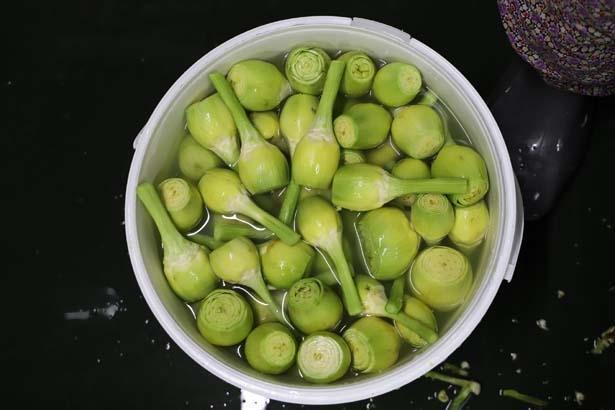 ENGİNAR ÇILGIN BİR SEBZE