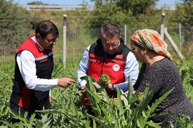 Babasının 5 dönümünde büyüyen servet Kazancı çok yüksek bir ürün