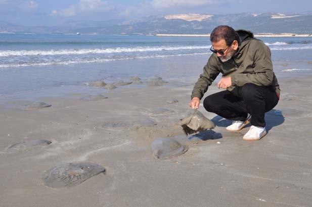 Binlercesi bir anda ortaya çıktı, kıyıyı sardı Mersinde şaşkına çeviren görüntü