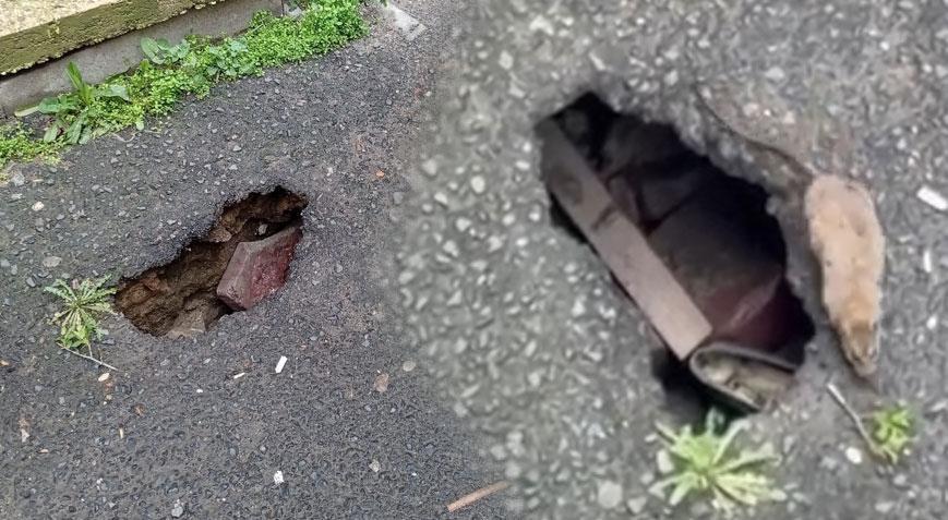 Mahallede büyük panik Her yerde cirit atıyorlar: Fare istilasına uğradık