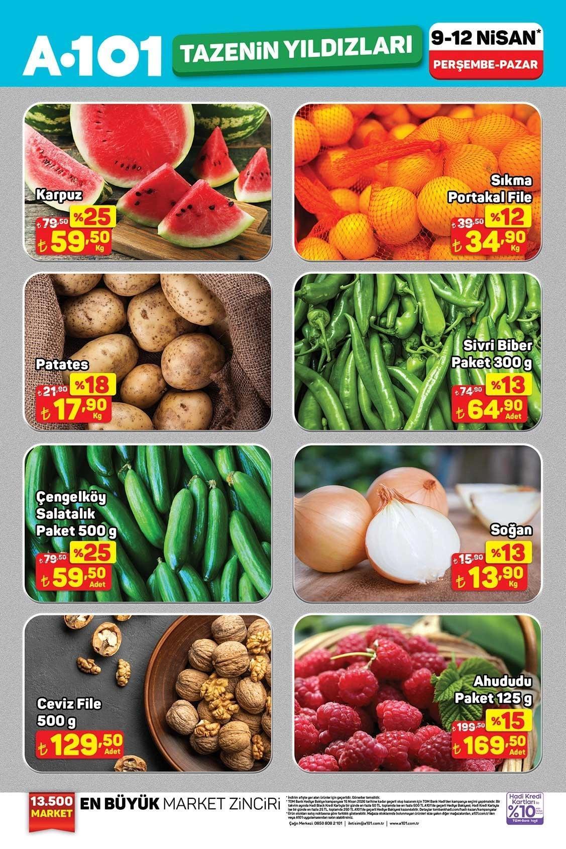 9-12 NİSAN A101 TAZENİN YILDIZLARI