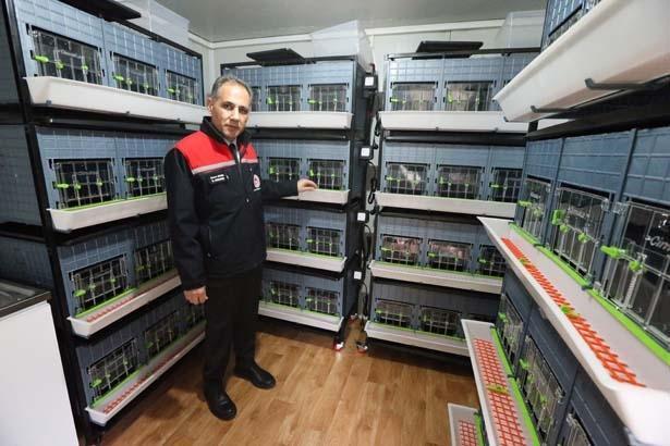 1500 yumurtanın sırrı Tek tek köyleri gezip topladılar... Türkiyede bir ilk
