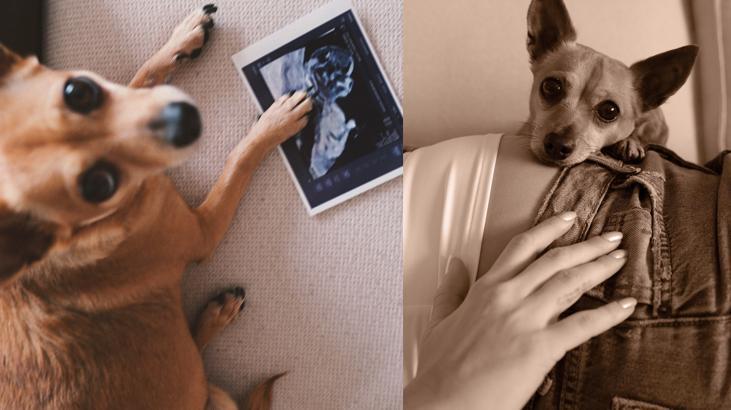 Survivor çiftinden bebek müjdesi Mert Öcal ve Sude Burcu anne baba oluyor