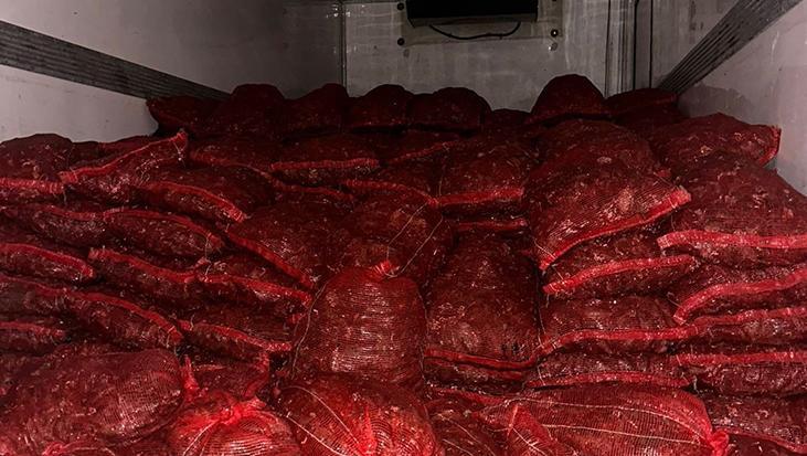 10 tonluk tehlike! Sofralara gidecekti, son anda yakalandı