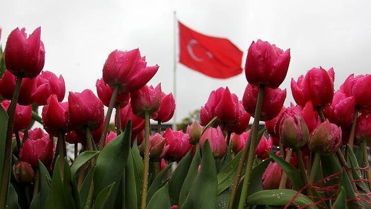 İSTANBUL LALE FESTİVALİ TARİHLERİ | 2026 İstanbul Lale Festivali ne zaman İstanbul Lale Festivali nerede yapılacak İSTANBUL LALE FESTİVALİ TARİHLERİ | 2026 İstanbul Lale Festivali ne zaman İstanbul Lale Festivali nerede yapılacak