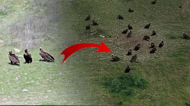 Doğanın devleri aynı anda ortaya çıktı Türkiyede nadir görülen an