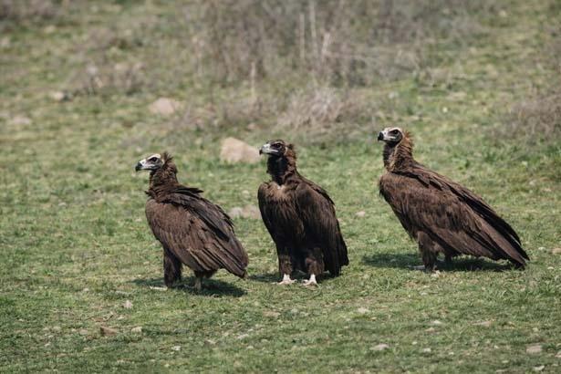 Doğanın devleri aynı anda ortaya çıktı Türkiyede nadir görülen an
