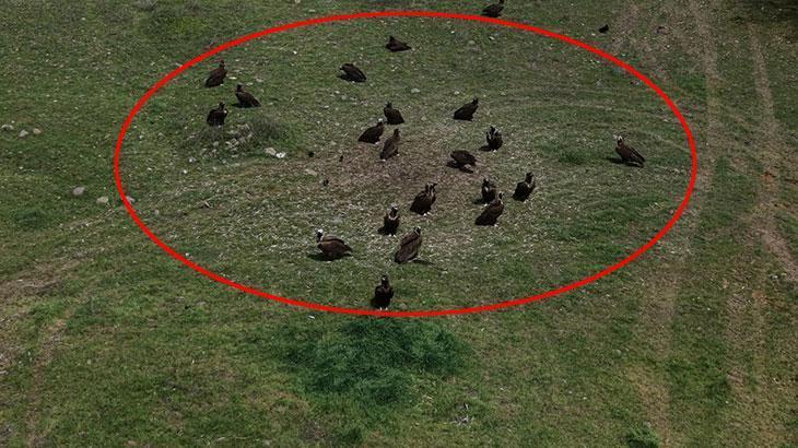 Doğanın devleri aynı anda ortaya çıktı! Türkiye'de nadir görülen an