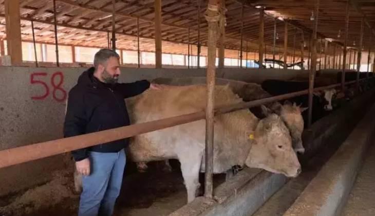 KURBANLIK FİYATLARI 2026 BELLİ OLDU MU
