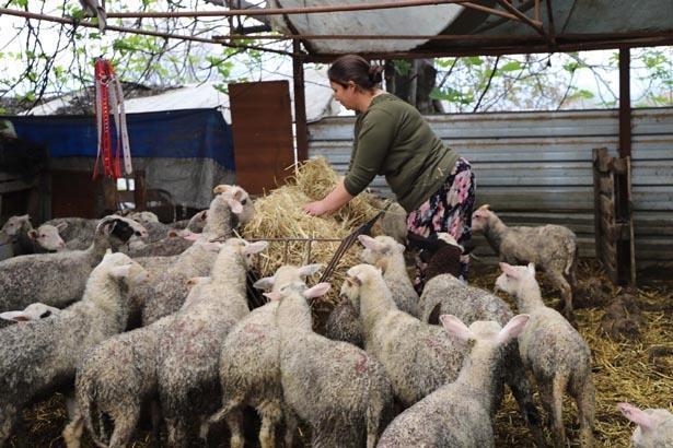 Bütün torunlarına aynı hediyeyi verdi Hayatlarını değiştirdi
