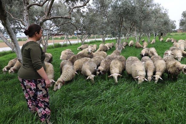 Bütün torunlarına aynı hediyeyi verdi Hayatlarını değiştirdi