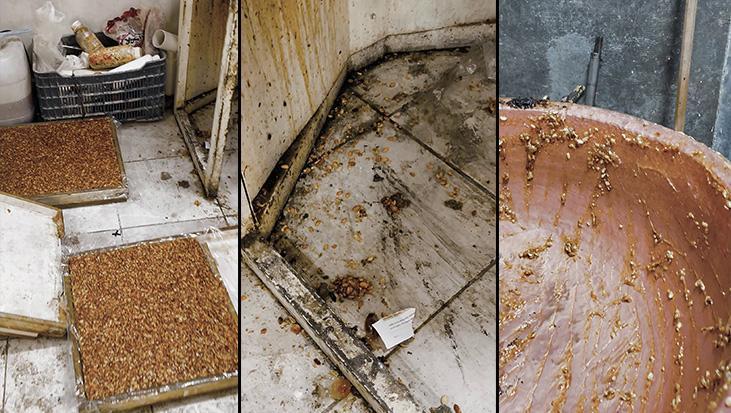 Hatay’da kötü kokunun geldiği evden kaçak lokum ve cezerye imalathanesi çıktı