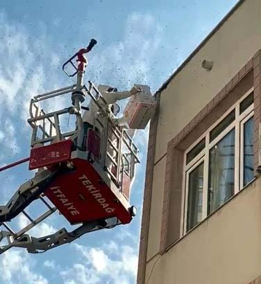 Binayı sardı esnaf fark etti Şehrin göbeğinde büyük panik: Özel kutuya yerleştirildiler