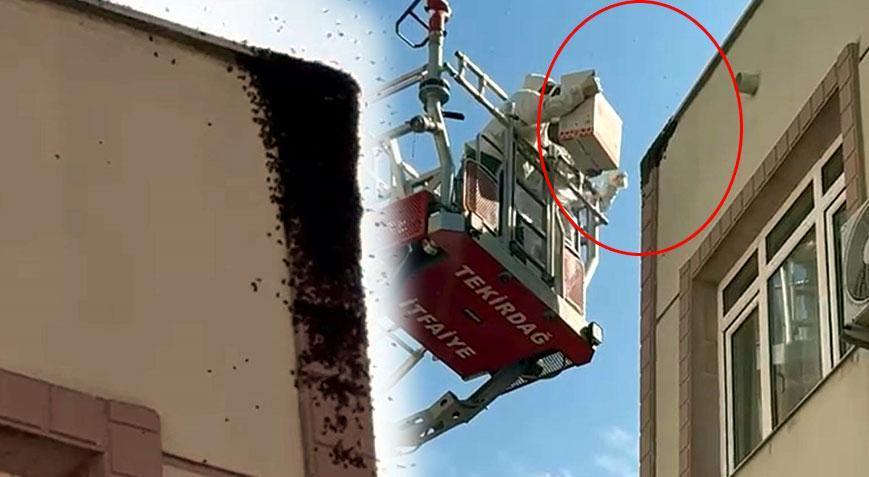 Binayı sardı esnaf fark etti! Şehrin göbeğinde büyük panik: Özel kutuya yerleştirildiler