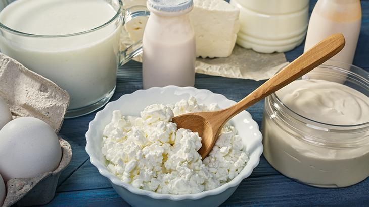 Bağırsakların görünmez kalkanı Kefir mi yoğurt mu Bağırsakların görünmez kalkanı Kefir mi yoğurt mu
