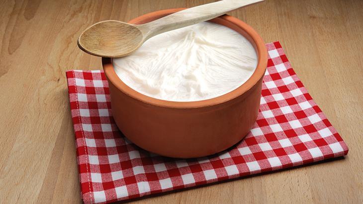 Bağırsakların görünmez kalkanı Kefir mi yoğurt mu Bağırsakların görünmez kalkanı Kefir mi yoğurt mu