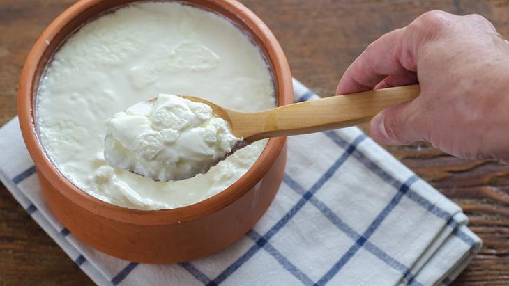 Bağırsakların görünmez kalkanı Kefir mi yoğurt mu Bağırsakların görünmez kalkanı Kefir mi yoğurt mu