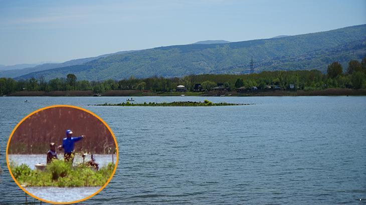 2016’da da görülmüştü! Sapanca Gölü'nde yeniden ortaya çıktı.. Duyan geldi